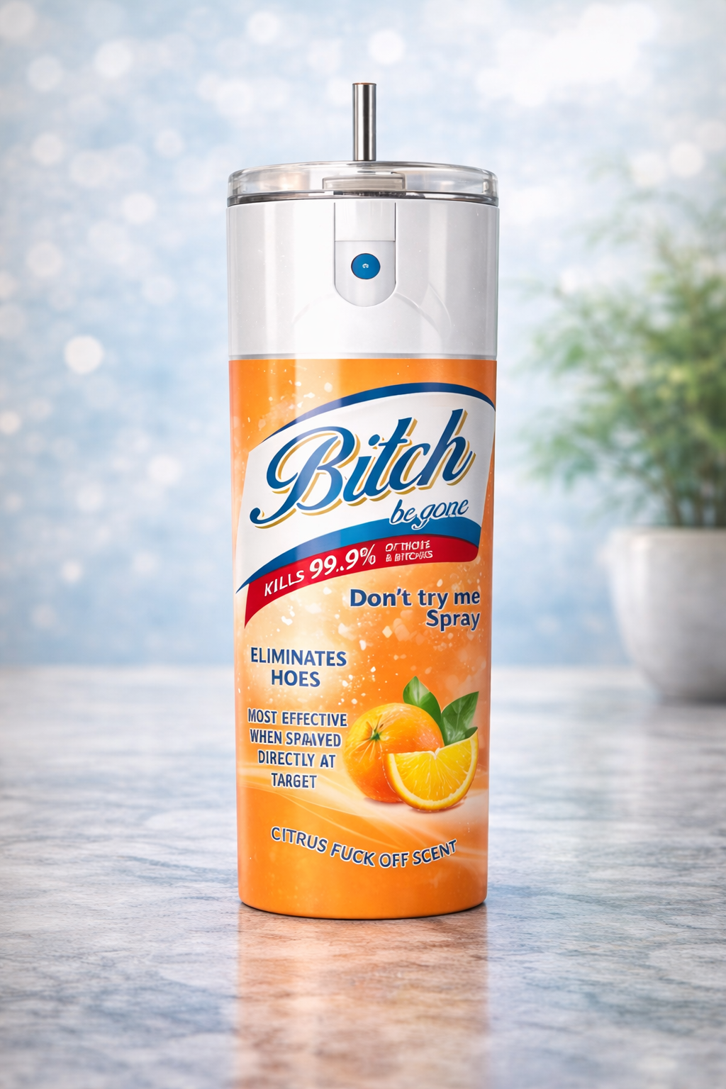 Bitch be gone 20 oz tumbler, Funny gift, Rude,